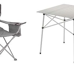 Coleman Camping Chair with 4 Can Cooler | Chair with Built in 4 Can Cooler, Grey/Black Outdoor Compact Folding Table, Sturdy Aluminum Camping Table with Snap-Together Design