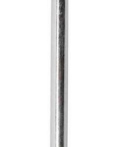 Coleman 10 Inch Steel Tent Stakes, 4-Pack of Steel Nail Tent Pegs